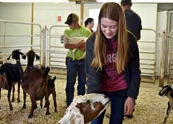 An "Ag-Citing" experience for high school students at Northeast